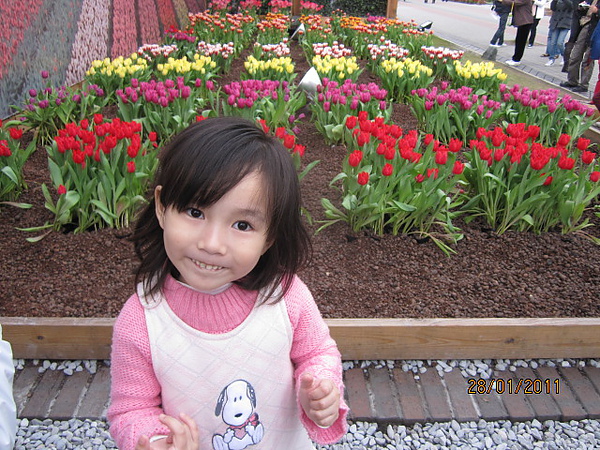 台北國際花卉博覽會