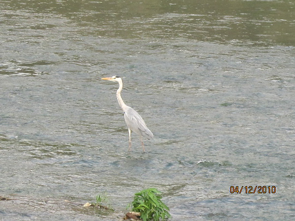 麻園頭溪溪濱公園