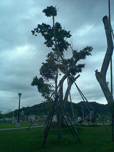 新都生態公園