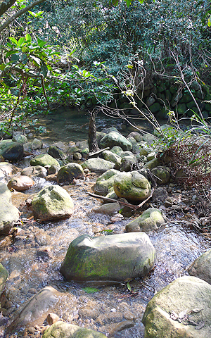 食養山房31.jpg