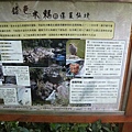 2010年元旦 苗栗之旅(10).JPG