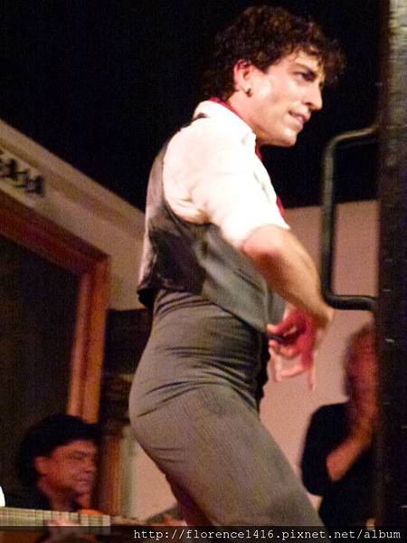 Flamenco 2 (9)