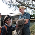 Wombats (11).jpg
