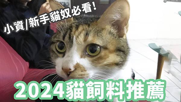 小資/新手貓奴請進！2024年嘔心瀝血精選6款必買貓飼料