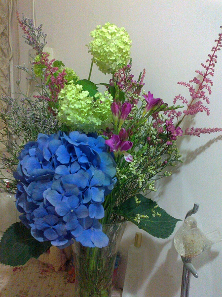 20110202393.jpg 20110202393.jpg