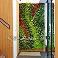 微美牙醫 人造植栽牆/植生牆/綠牆 