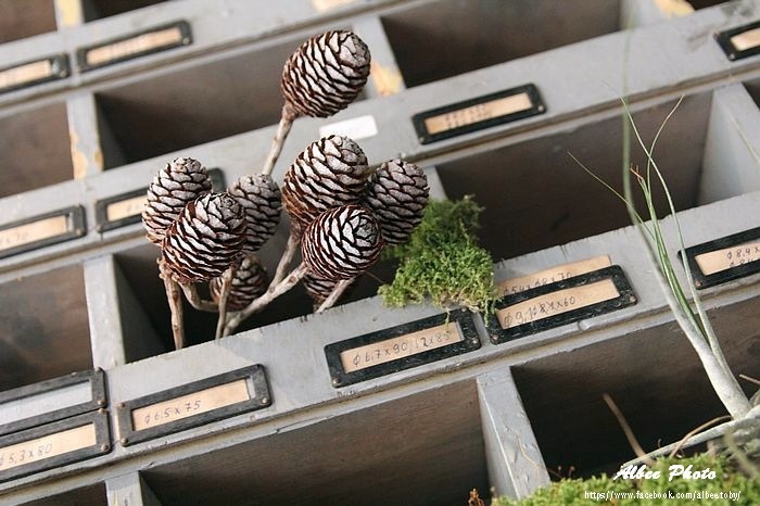 nEO_IMG_IMG_8767.jpg nEO_IMG_IMG_8767.jpg