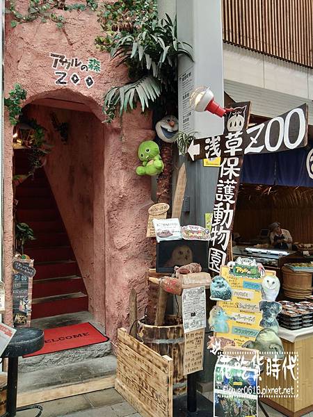 淺草-owl cafe (1).jpg