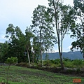 DSC03195_大小 .JPG