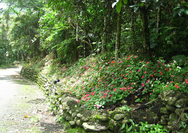 IMG_1054_大小 .jpg IMG_1054_大小 .jpg