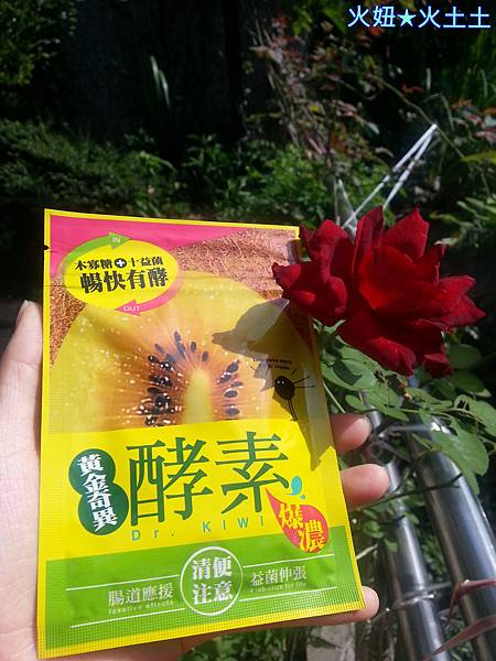 2 試用