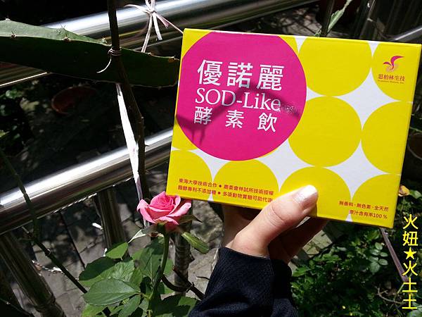 2 試用