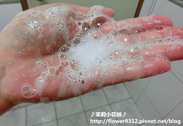 HOLIKA HOLIKA Biotin受損修護美髮系列  (4).jpg