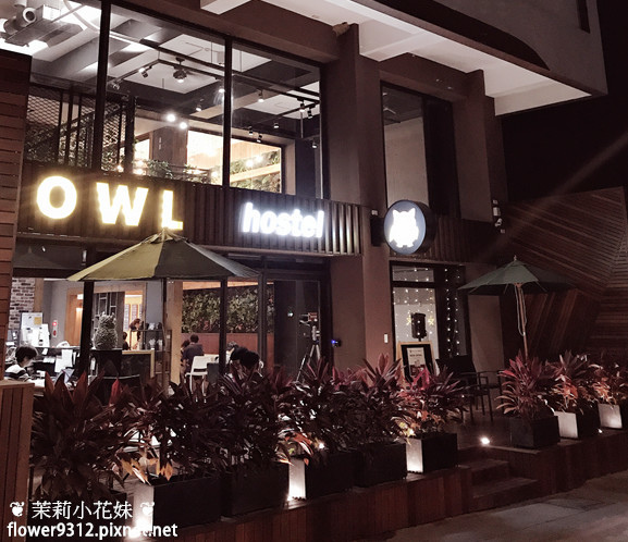 日月潭住宿 OWL Hostel 貓頭鷹旅店 背包客棧 (2).JPG