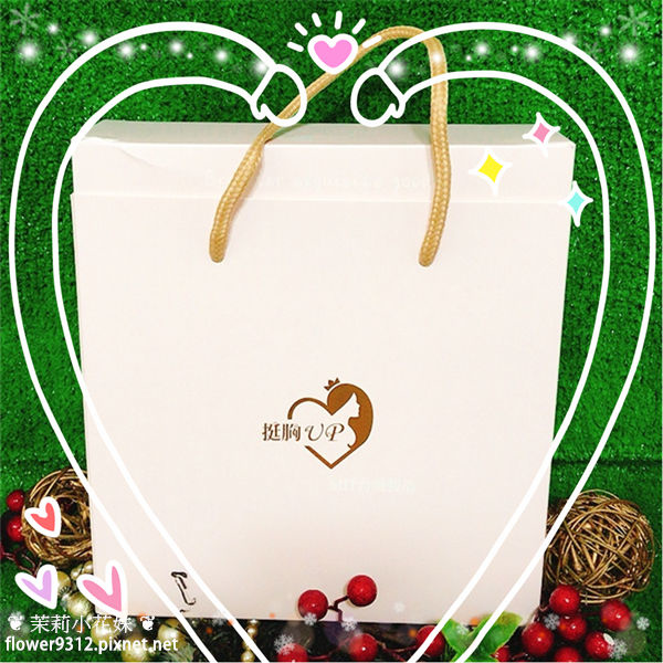 藝鑚團隊挺胸UP內衣 (1).JPG