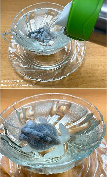 魚蝶ㄦ 金魚茶包 (8).jpg