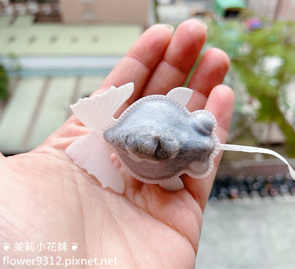 魚蝶ㄦ 金魚茶包 (18).jpg 魚蝶ㄦ 金魚茶包 (18).jpg