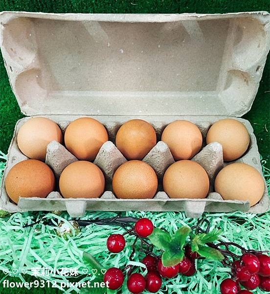 好愛雞 無毒の雞蛋 契約養殖(放牧飼養)一年合約 210顆無毒の雞蛋 (6).jpg