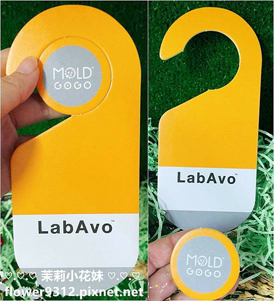 LabAvo│MoldGoGo防霉吊卡 LabAvo隨護寧抗菌隨身貼 (5).jpg