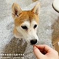 多格漫 DoggyMan 日本寵物國民品牌 犬用絹紗牛肉條 (9).jpg