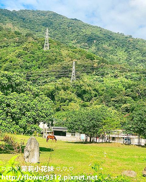 花蓮吉安 金澤居民宿 (30).jpg