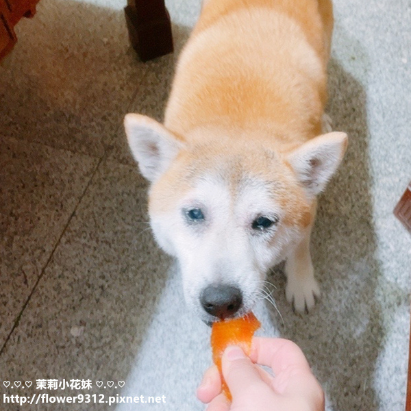 寶貝餌子 風靡狗狗界的零食霸主 寵物零食彭湃組 超軟雞肉乾 碳烤豬耳朵 乳酪棒 風味牛肉棒 起司雞肉小圓片 雞肉條 (18).jpg