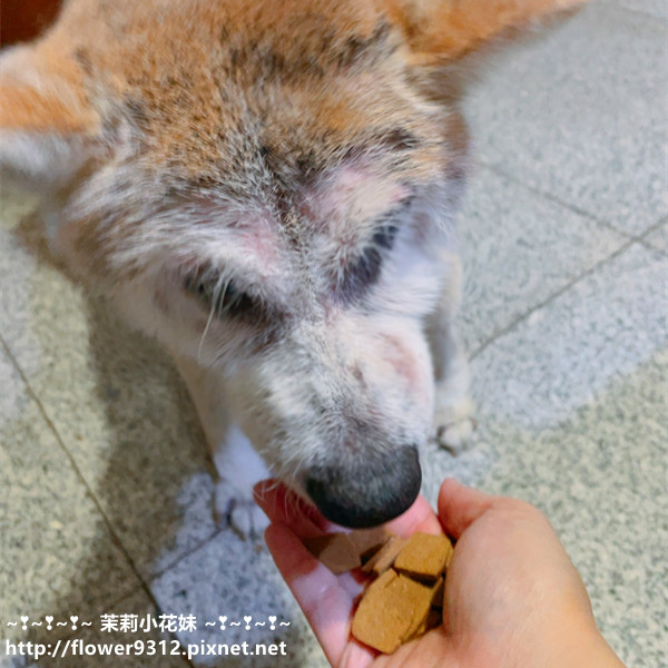 每朝活力 無穀鮮肉糧 鮮肉狗飼料開箱 (11).JPG