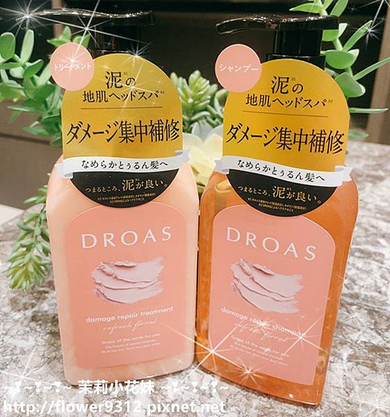 DROAS 礦物泥頭皮潔淨系列 (1).JPG