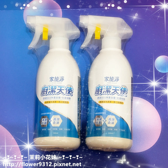 家能淨 廚潔天使 居家清潔鹼性電解水 (1).JPG