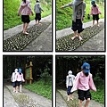 舉步維艱.jpg