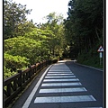 阿里山步道.jpg