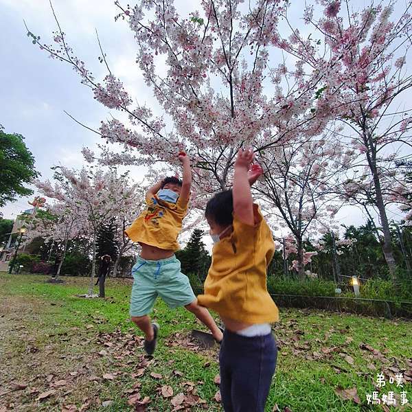 屏東 潮州 太陽好事 像是童話故事又像是藝術館 鴨鴨生態池大庭園景觀餐廳 花旗木花季來賞花 免費停車無低消無限時