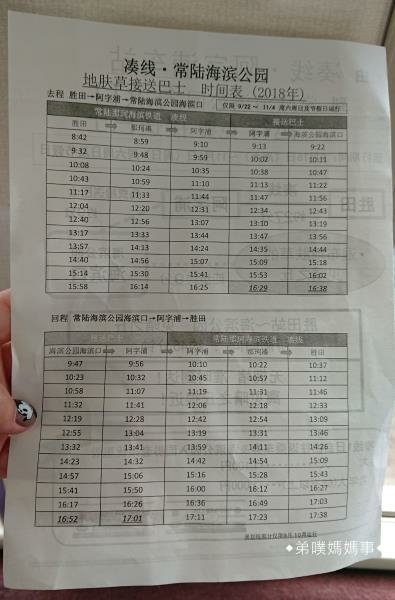 【日本‧茨城】國營海濱公園│秋季必看紅通通超療癒掃帚草（コキ