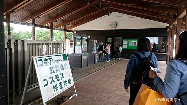 【日本‧茨城】國營海濱公園│秋季必看紅通通超療癒掃帚草（コキ