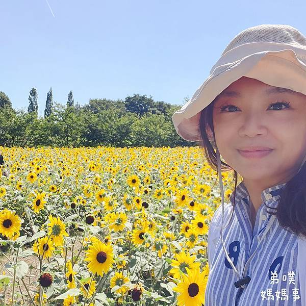 【日本‧千葉】船橋安徒生公園│超推親子景點,一整天玩不完>夏 【日本‧千葉】船橋安徒生公園│超推親子景點,一整天玩不完>夏