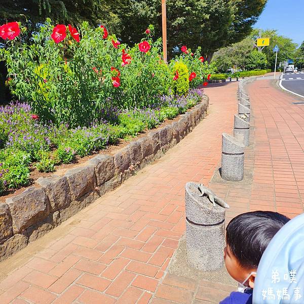 【日本‧千葉】船橋安徒生公園│超推親子景點,一整天玩不完>夏 【日本‧千葉】船橋安徒生公園│超推親子景點,一整天玩不完>夏