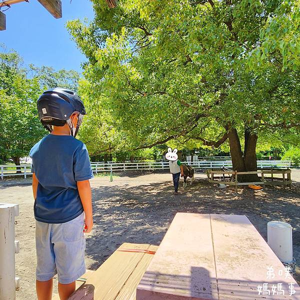 【日本‧千葉】船橋安徒生公園│超推親子景點,一整天玩不完>夏 【日本‧千葉】船橋安徒生公園│超推親子景點,一整天玩不完>夏