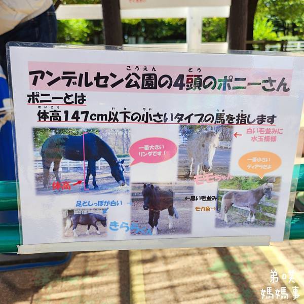 【日本‧千葉】船橋安徒生公園│超推親子景點,一整天玩不完>夏 【日本‧千葉】船橋安徒生公園│超推親子景點,一整天玩不完>夏