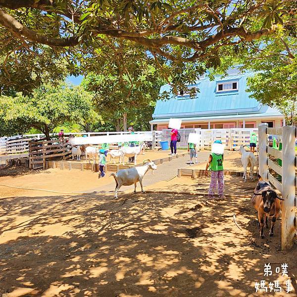 【日本‧千葉】船橋安徒生公園│超推親子景點,一整天玩不完>夏 【日本‧千葉】船橋安徒生公園│超推親子景點,一整天玩不完>夏