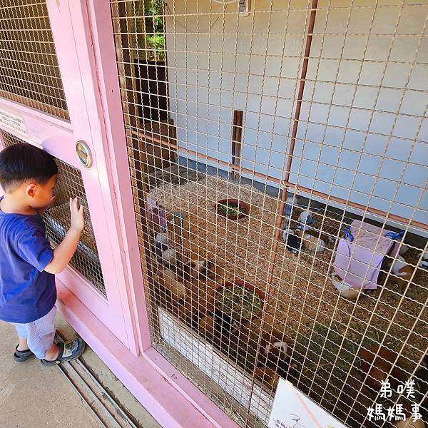 【日本‧千葉】船橋安徒生公園│超推親子景點,一整天玩不完>夏 【日本‧千葉】船橋安徒生公園│超推親子景點,一整天玩不完>夏