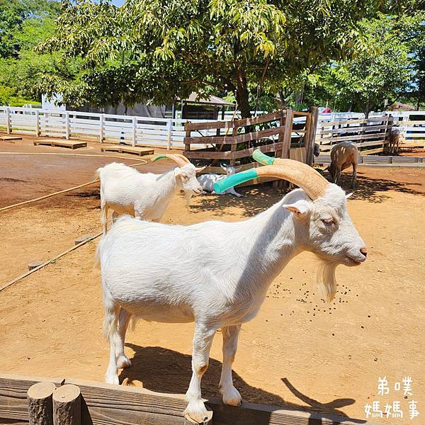 【日本‧千葉】船橋安徒生公園│超推親子景點,一整天玩不完>夏 【日本‧千葉】船橋安徒生公園│超推親子景點,一整天玩不完>夏