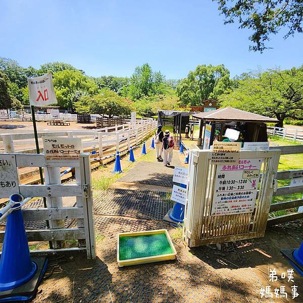 【日本‧千葉】船橋安徒生公園│超推親子景點,一整天玩不完>夏 【日本‧千葉】船橋安徒生公園│超推親子景點,一整天玩不完>夏