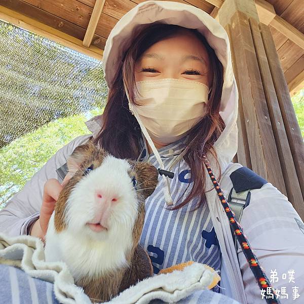 【日本‧千葉】船橋安徒生公園│超推親子景點,一整天玩不完>夏 【日本‧千葉】船橋安徒生公園│超推親子景點,一整天玩不完>夏