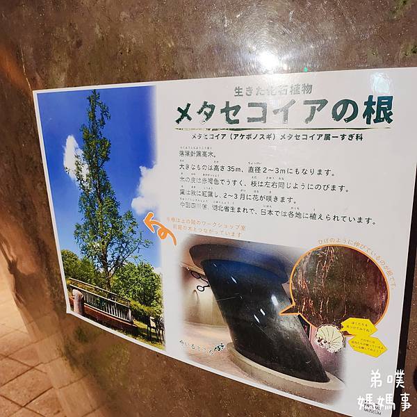 【日本‧千葉】船橋安徒生公園│超推親子景點,一整天玩不完>夏 【日本‧千葉】船橋安徒生公園│超推親子景點,一整天玩不完>夏