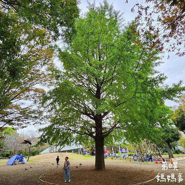 【日本‧東京】免費搭小纜車、看新幹線、山丘城堡溜滑梯│飛鳥山 【日本‧東京】免費搭小纜車、看新幹線、山丘城堡溜滑梯│飛鳥山