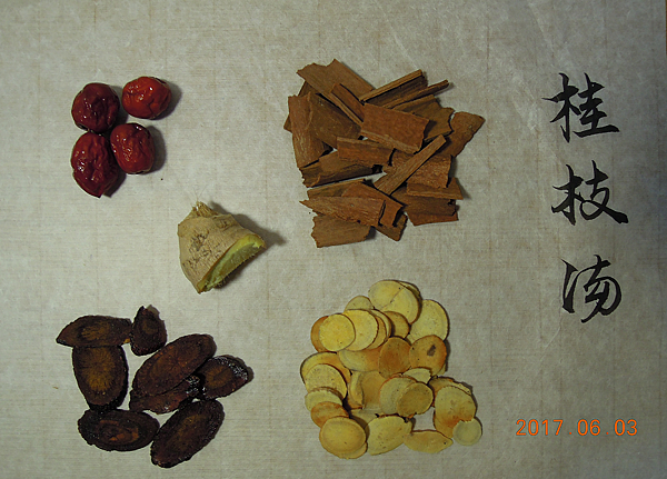 桂枝湯.png