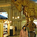 在mall裡面超大的木馬
