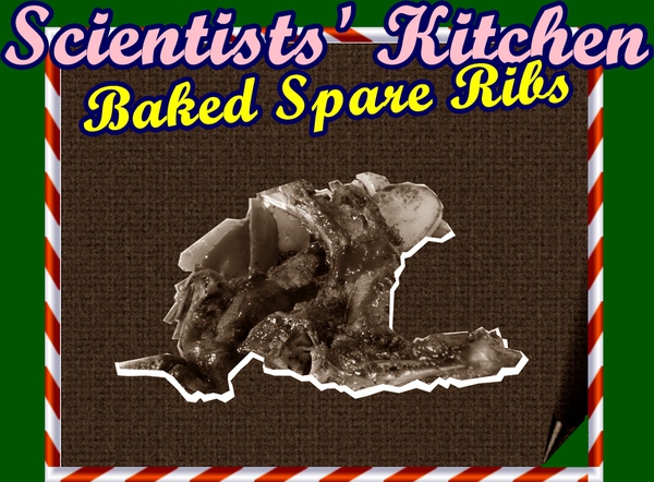 Scientist's Kitchen