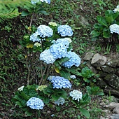 DSC_1767.jpg DSC_1767.jpg
