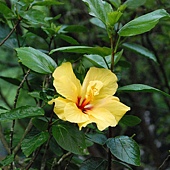 DSC_1774.jpg DSC_1774.jpg